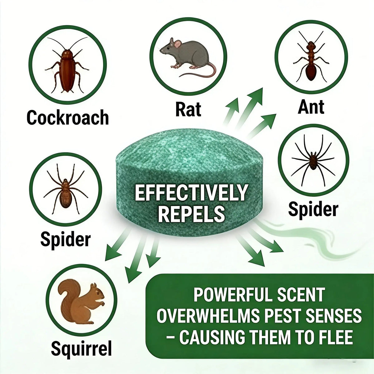 🥳2026 HOT SALE🥳💞50K+ SOLD!🏠🛡️ 50% OFF! All‑Pest Repellent – Safe for pets & wildlife. No poisons, just effective. Use indoors & out. 🐾✅