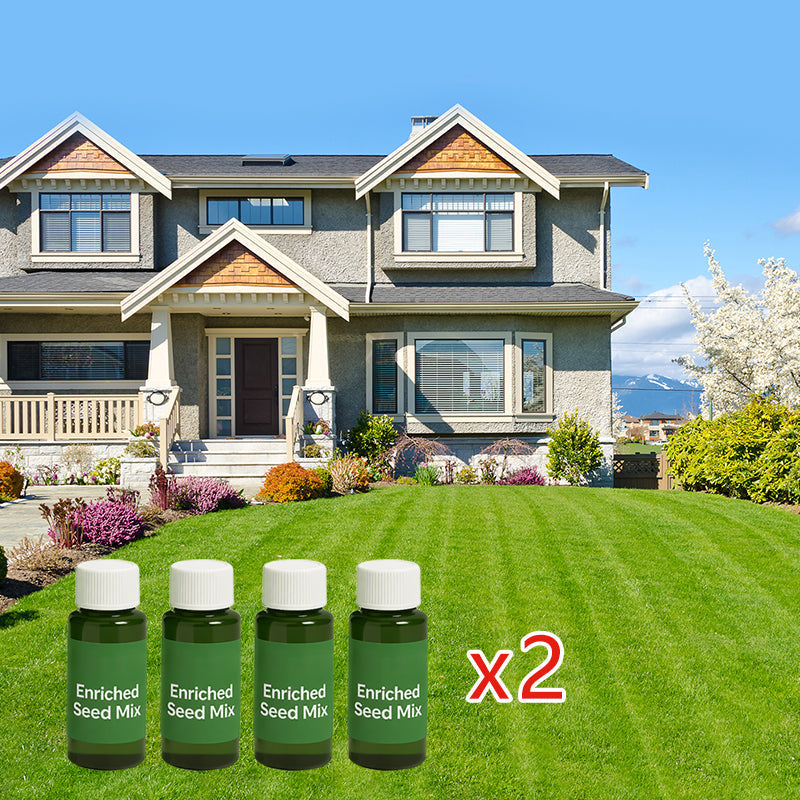 🌱Hydro Seeding Lawn Solution