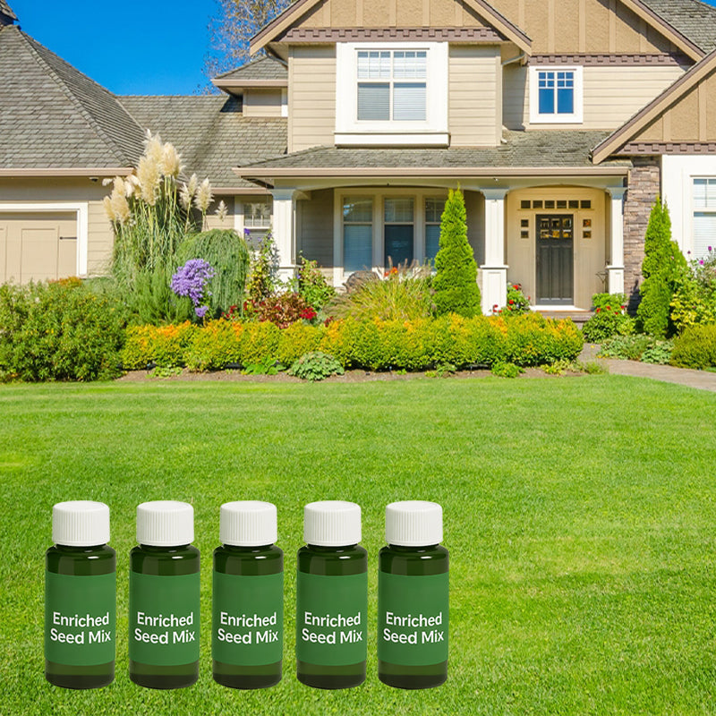 🌱Hydro Seeding Lawn Solution