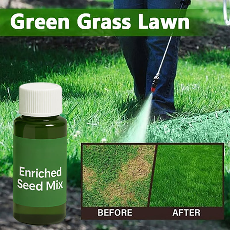 🌱Hydro Seeding Lawn Solution